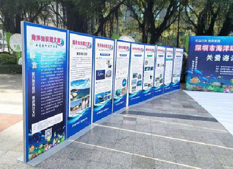  白玉KT板的种类和知识。